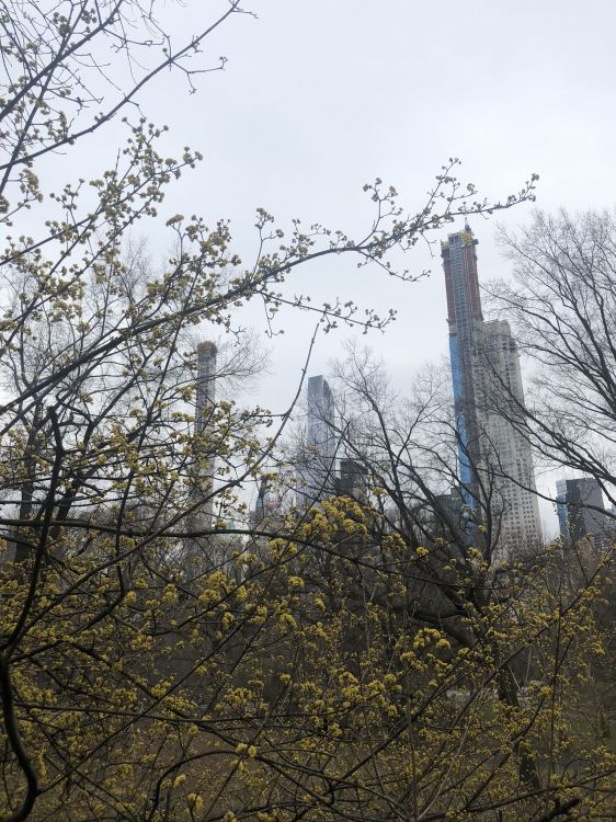 Ciencia, Planta, la Física, Sucursal, Ramita. Wallpaper in 1536x2048 Resolution