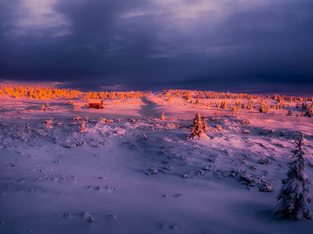 Sombrillas Blancas y Azules en la Playa Durante el Día. Wallpaper in 2048x1536 Resolution