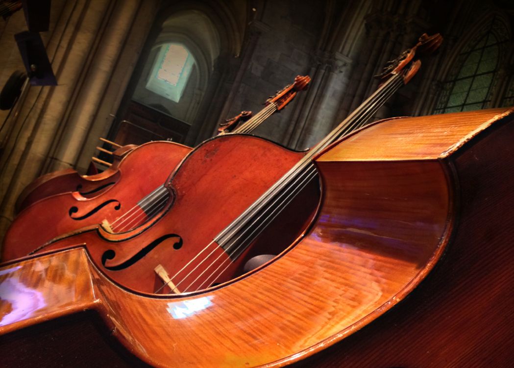 Contrabajo, Bajo Violín, Violone, Viola, Bass Guitar. Wallpaper in 3197x2285 Resolution