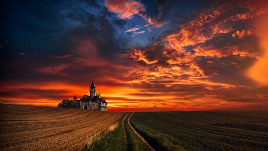 Image sunset, cloud, atmosphere, plant, ecoregion