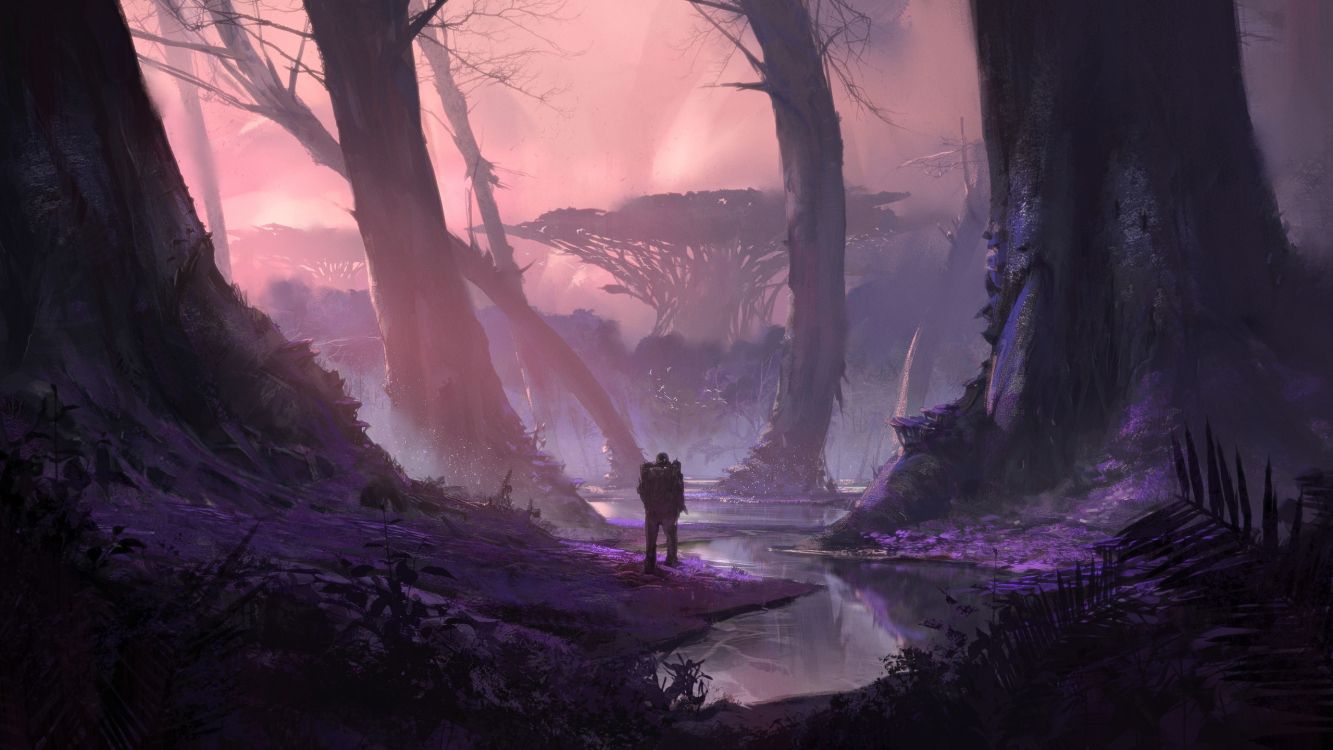 Personne Debout Sur la Rivière Entre Les Arbres Pendant la Journée. Wallpaper in 2560x1440 Resolution