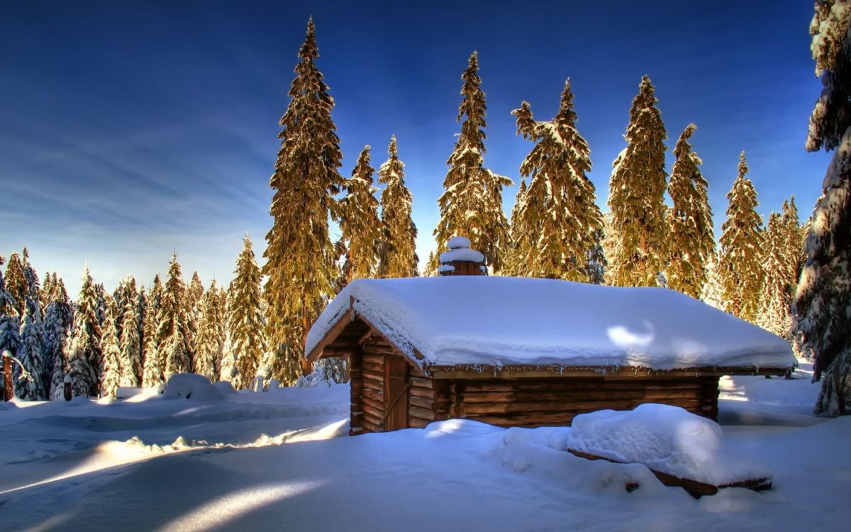 brown wooden house covered with snow near green trees under blue sky during daytime