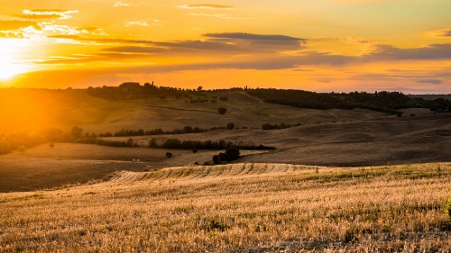 Image brown grass field during sunset