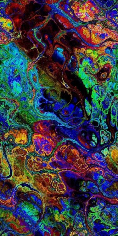 艺术, 抽象艺术, 艺术家, 画布, 艺术博物馆 壁纸 570x1140 允许