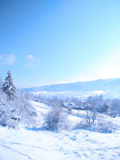 Image winter, cloud, snow, plant, blue