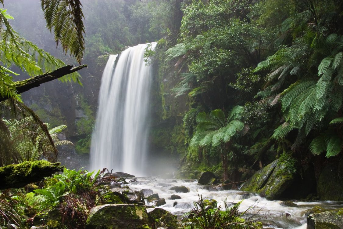 waterfalls in the middle of the forest