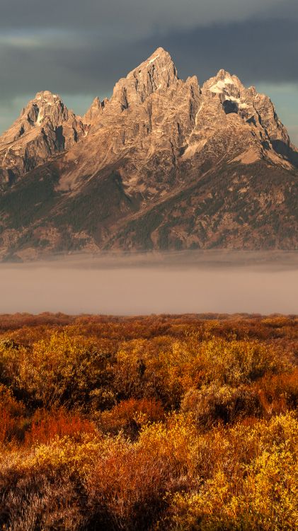 natural landscape, mountainous landforms, plant community, landscape, outcrop