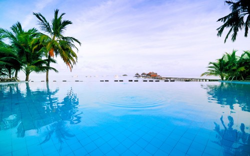 Image white swimming pool near green palm trees during daytime