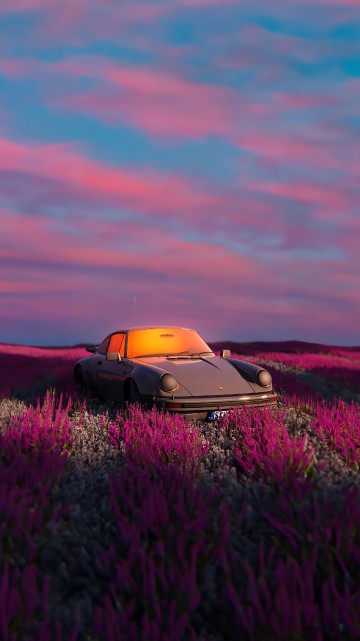 Image wildflower, sports car, cars, cloud, plant