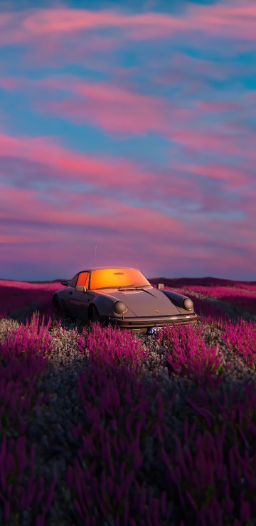 Image wildflower, sports car, cars, cloud, plant