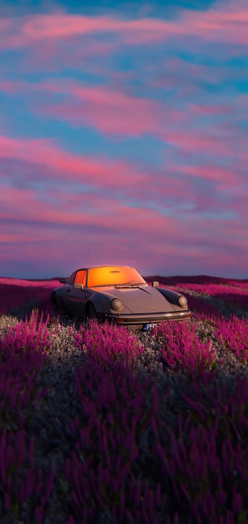 Image wildflower, sports car, cars, cloud, plant