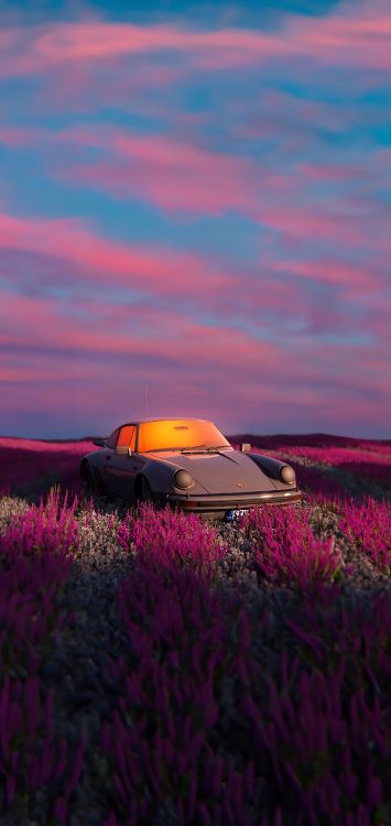 Wildflower, Sportwagen, Car, Cloud, Kapuze. Wallpaper in 1720x3628 Resolution