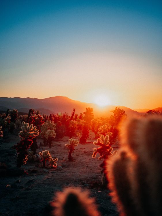 Kostenlose Hintergrundbilder Ästhetische Sonnenuntergangskalender, Kalender, Ver, Afterglow 