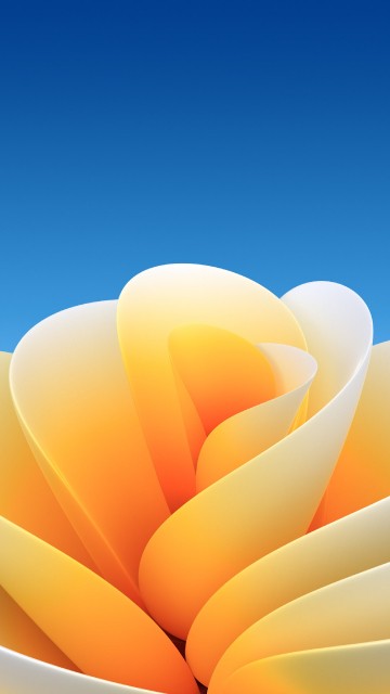 Image ios, yellow, petal, orange, graphics