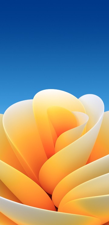 Image ios, yellow, petal, orange, graphics