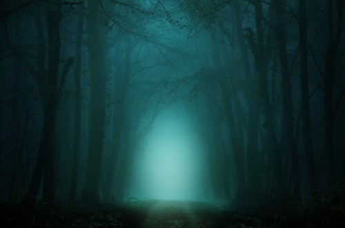 Image darkness, night, green, nature, blue