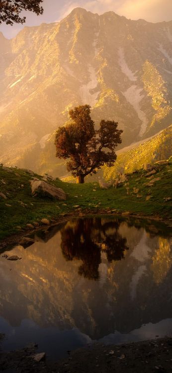 Naturporträt, Natur, Soundcloud, Portrait, Wasser. Wallpaper in 1080x2340 Resolution