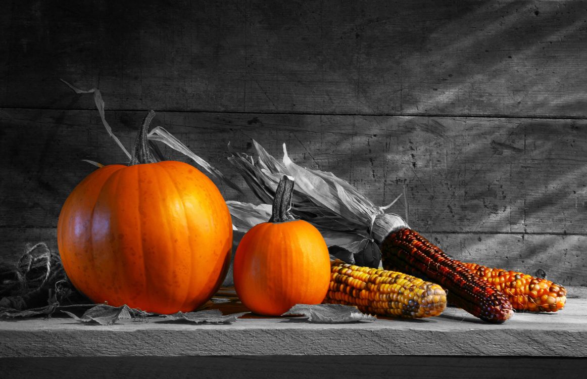 Encore de la Vie, Gourde, Illustration, Les Courges D'hiver, Cucurbita. Wallpaper in 4672x3013 Resolution