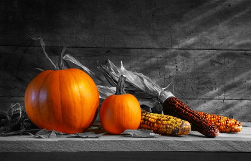 Image still life, gourd, illustration, Bigstock, winter squash