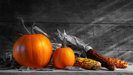 Image still life, gourd, illustration, Bigstock, winter squash