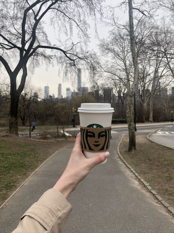 Baum, Street, Wissenschaft, Menschliche Biologie, Nervensystem. Wallpaper in 1536x2048 Resolution