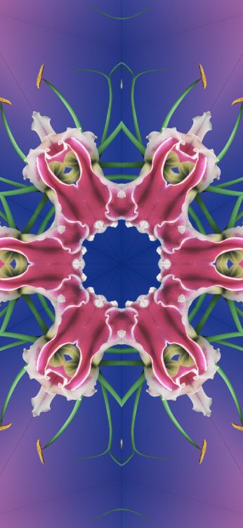 Ios 17, Kaléidoscope IOS 17, Apple, Ios 16, Iclarifié. Wallpaper in 1290x2796 Resolution