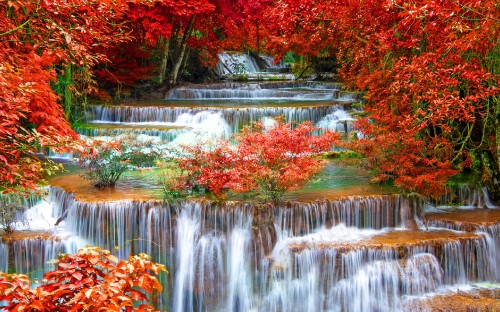 Image red and brown trees beside river