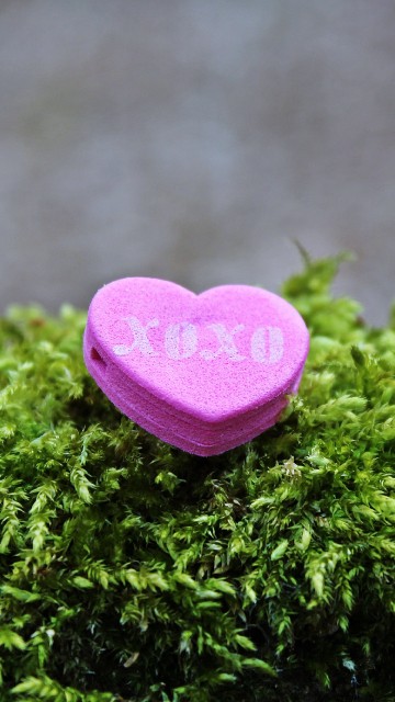 Image love, romance, heart, green, grass