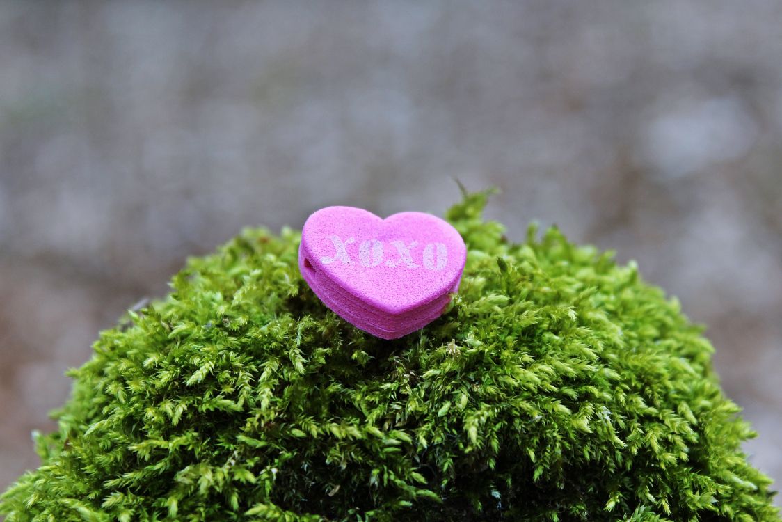 爱情, 浪漫, 心脏, 绿色的, 草 壁纸 4000x2667 允许