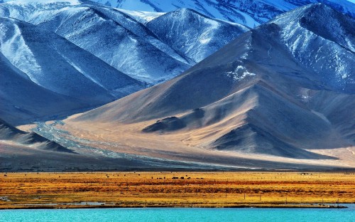 Image white and brown mountains under blue sky during daytime