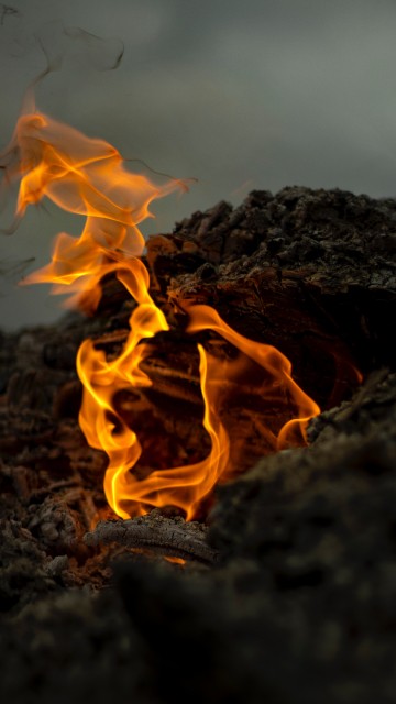 Image fire, flame, heat, ash, bonfire