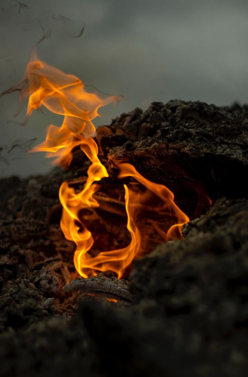 Wallpaper Fire, Flame, Heat, Ash, Bonfire, Background - Download Free Image