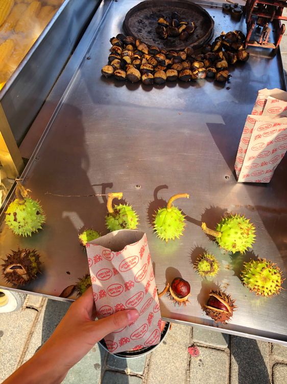 Lebensmittel, Bromelien, Blütenblatt, Sonnenblume, Daisy Familie. Wallpaper in 3024x4032 Resolution