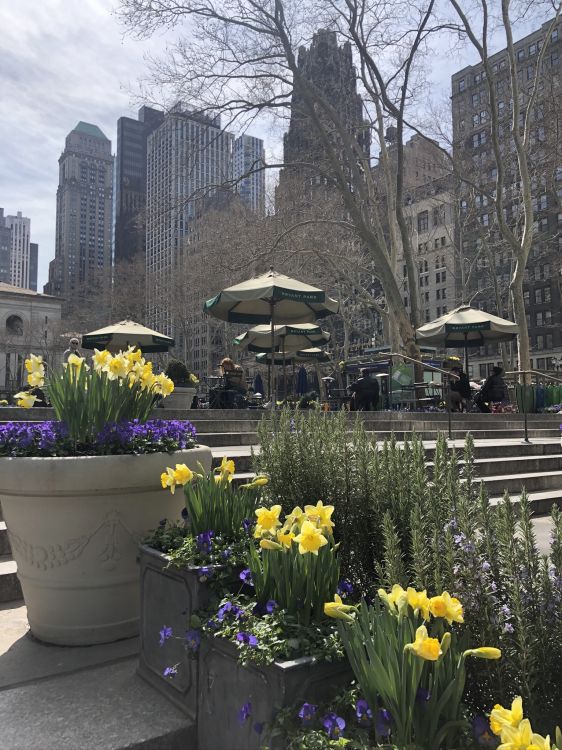 Amarillo, Pétalo, Maceta, Torre de Bloques, Arbusto. Wallpaper in 1536x2048 Resolution