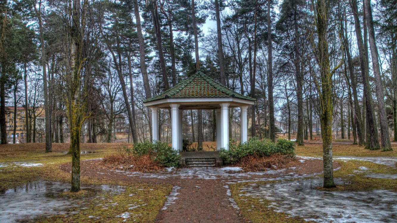 Fondos de Pantalla Casa de Madera Blanca y Verde en el Bosque, Imágenes