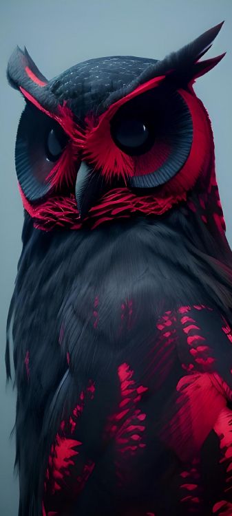 Schwarz Rote Eule, Eurasian Eagle Owl, Eule, Rote Eule, Große Gehörnte Eule. Wallpaper in 1080x2400 Resolution