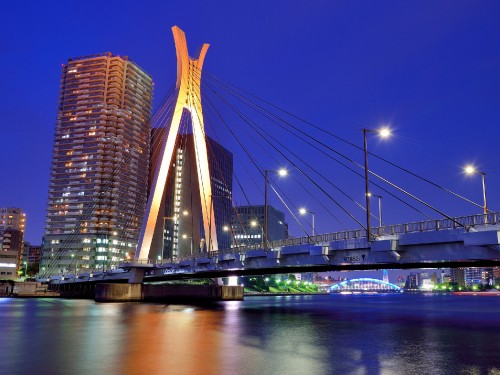 Image bridge over water near high rise building during night time