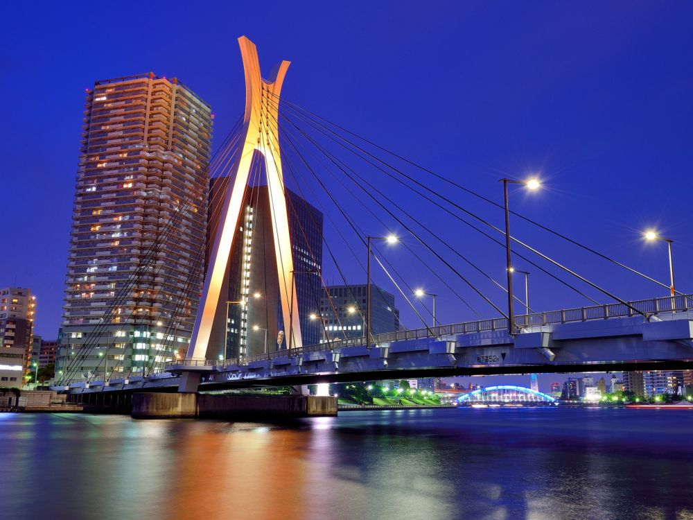 bridge over water near high rise building during night time