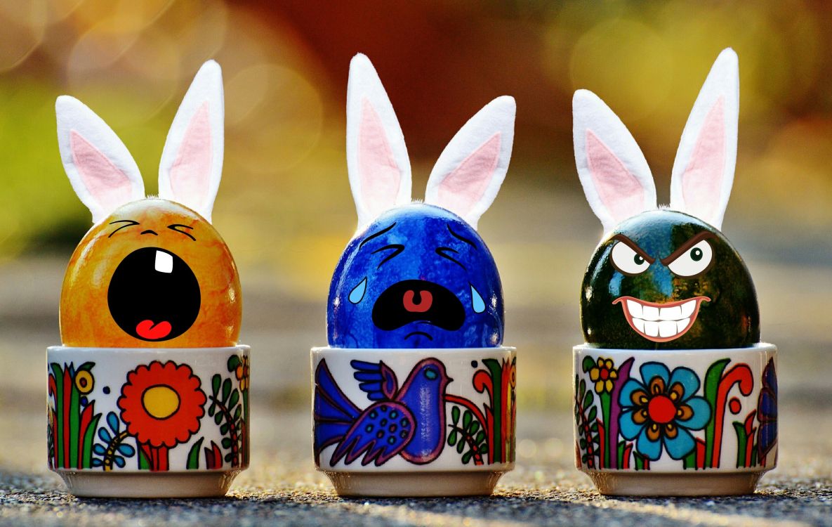 Easter Egg, Rabbit, Rabbits and Hares, Easter, Easter Bunny. Wallpaper in 2878x1821 Resolution