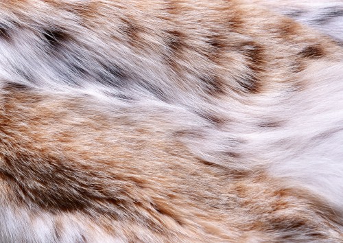 Image brown and white fur textile