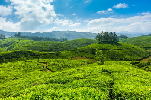 Thekkady, Kerala- India | www.Viharin.Com