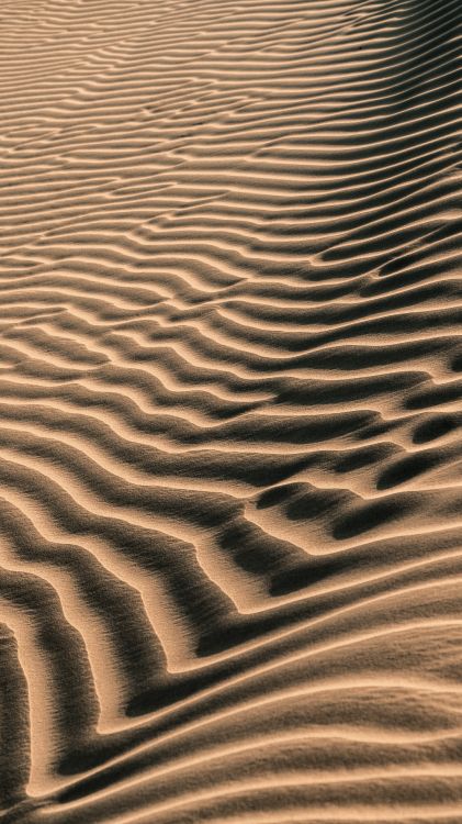 Sand, Brown, ERG, Art, Eoliennes Relief. Wallpaper in 3139x5581 Resolution