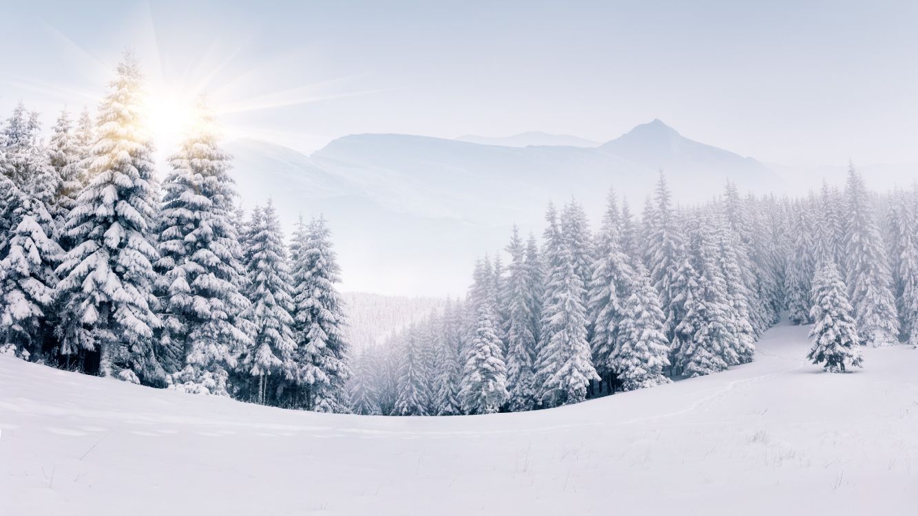 Schneelandschaft Frei, Schnee, Natur, Winter, Atmosphäre. Wallpaper in 5120x2880 Resolution