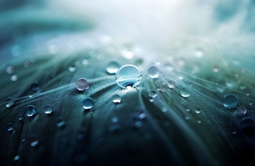 Image water droplets on green leaf