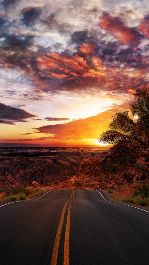 Image cloud, plant, infrastructure, natural landscape, road surface