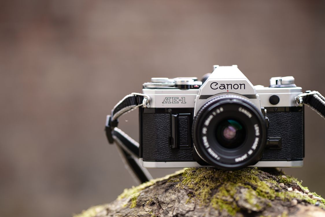 black and silver canon dslr camera on brown rock