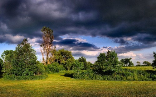 Image green grass field with trees under blue sky and white clouds during daytime