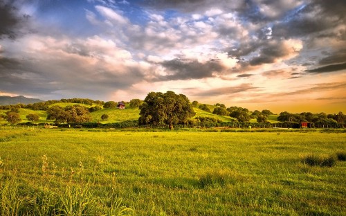 Image green grass field under cloudy sky during daytime