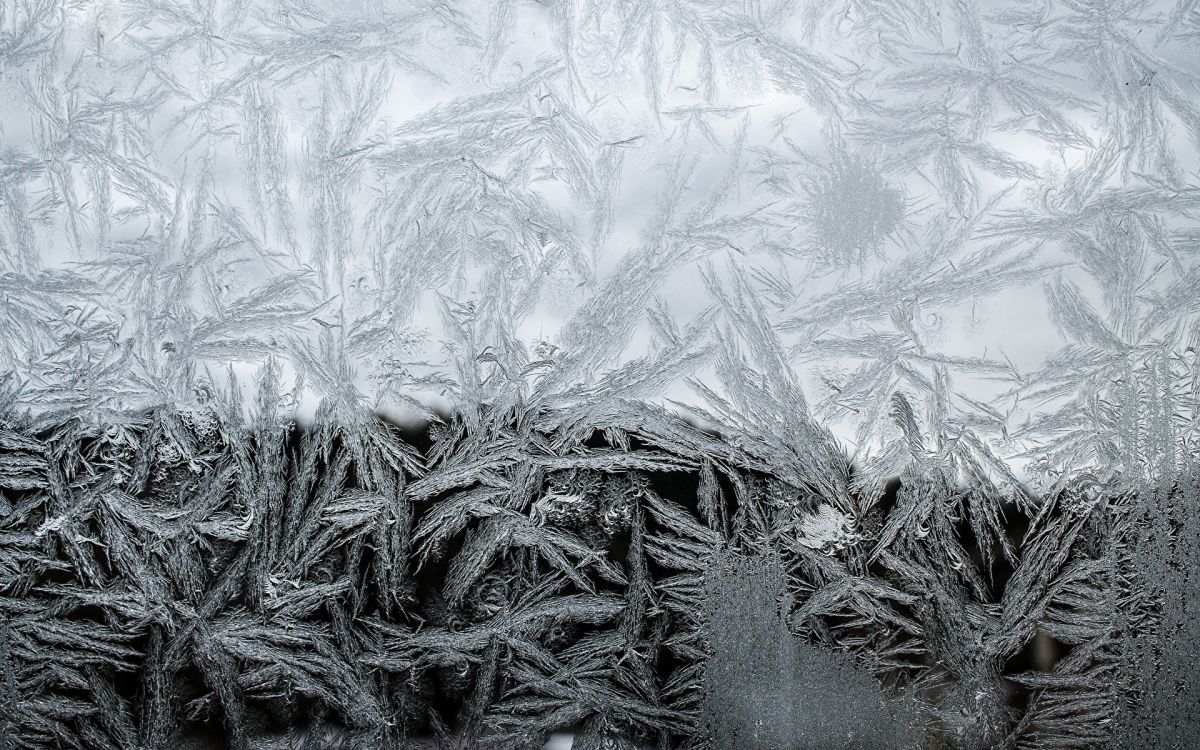 Textil Floral Blanco y Gris. Wallpaper in 1920x1200 Resolution