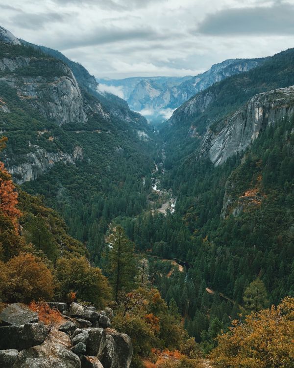 Yosemite National Park, Nationalpark, Hochland, Tal, Bergkette. Wallpaper in 3024x3780 Resolution